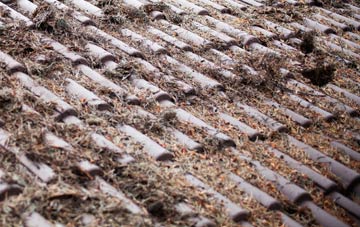 Darracott roof cleaning companies